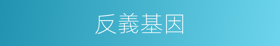 反義基因的同義詞