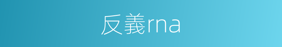 反義rna的同義詞