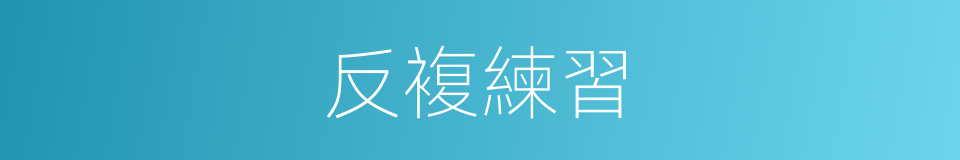 反複練習的同義詞