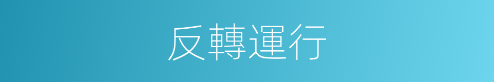 反轉運行的同義詞