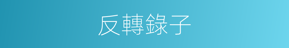反轉錄子的同義詞