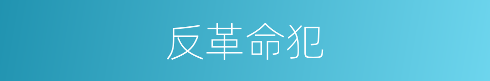 反革命犯的同义词