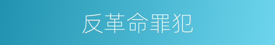 反革命罪犯的同义词