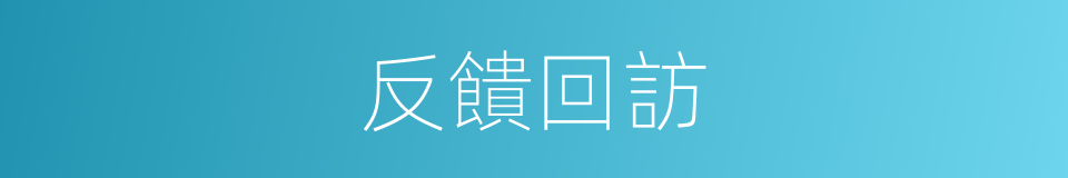 反饋回訪的同義詞