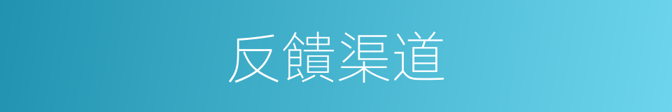 反饋渠道的同義詞