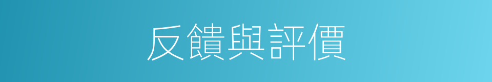 反饋與評價的同義詞