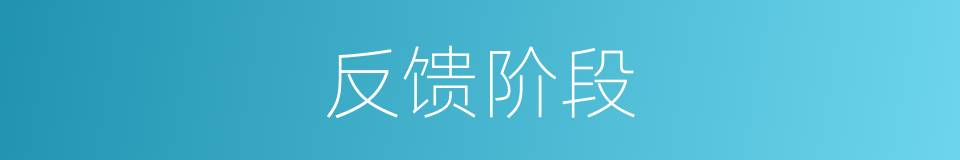 反馈阶段的同义词