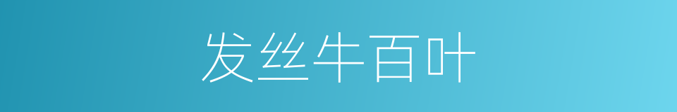 发丝牛百叶的同义词