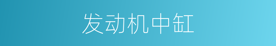 发动机中缸的同义词