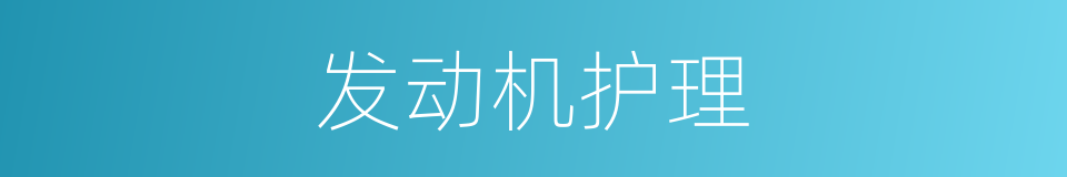 发动机护理的同义词