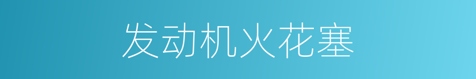 发动机火花塞的同义词