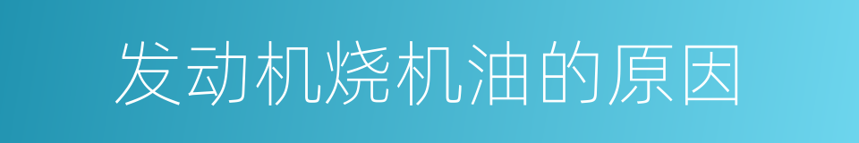 发动机烧机油的原因的同义词