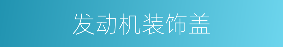 发动机装饰盖的同义词