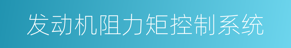 发动机阻力矩控制系统的同义词