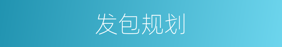 发包规划的同义词