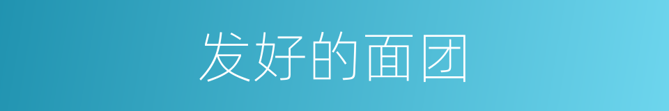 发好的面团的同义词