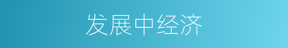 发展中经济的同义词