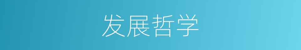发展哲学的同义词