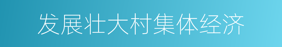 发展壮大村集体经济的同义词