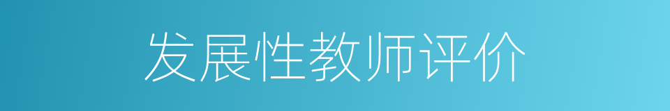 发展性教师评价的同义词