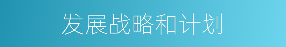 发展战略和计划的同义词