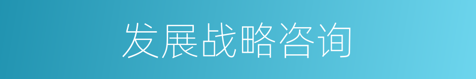 发展战略咨询的同义词