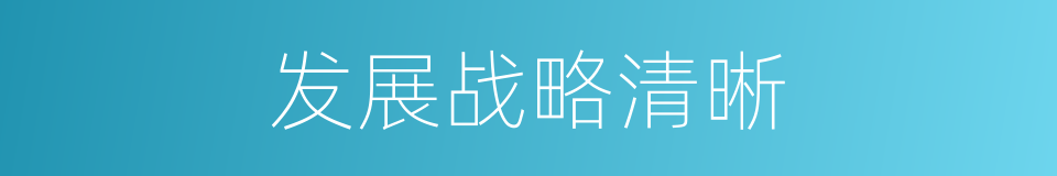 发展战略清晰的同义词