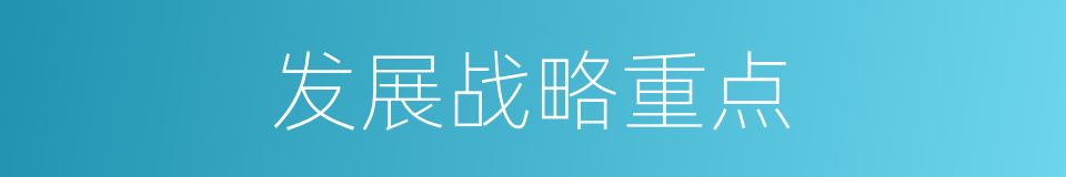 发展战略重点的同义词