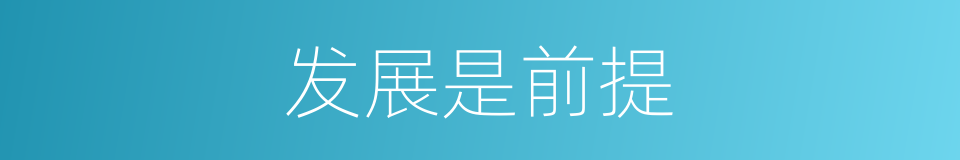 发展是前提的同义词