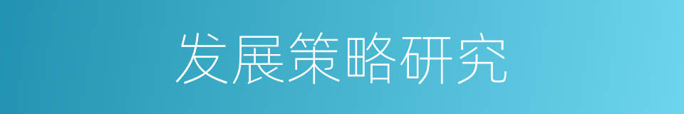 发展策略研究的同义词