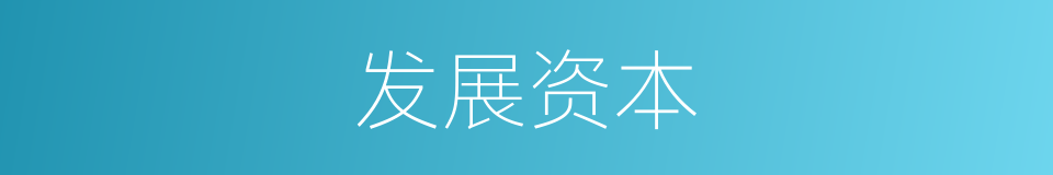 发展资本的同义词