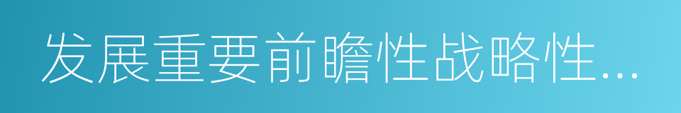 发展重要前瞻性战略性产业的同义词