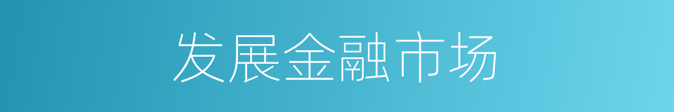 发展金融市场的同义词
