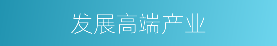 发展高端产业的同义词