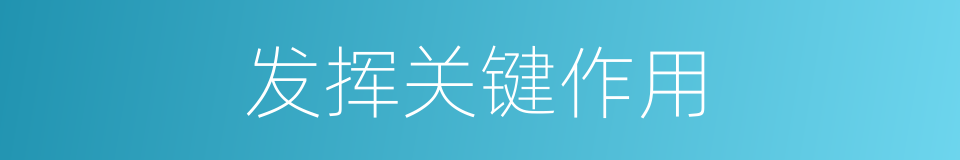 发挥关键作用的同义词