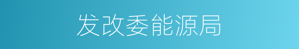 发改委能源局的同义词