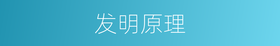 发明原理的同义词