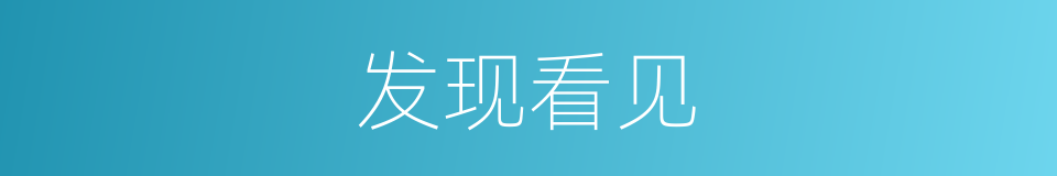 发现看见的同义词