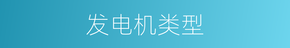 发电机类型的同义词
