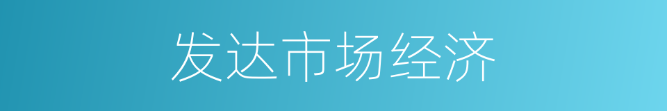 发达市场经济的同义词