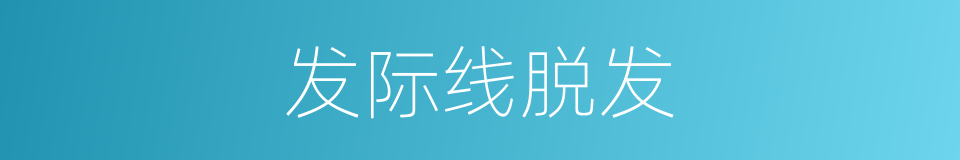 发际线脱发的同义词