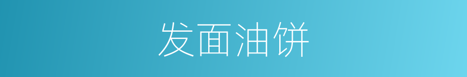 发面油饼的同义词