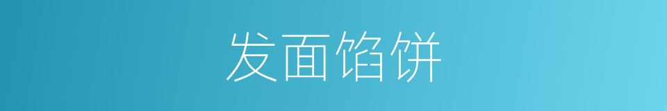 发面馅饼的同义词