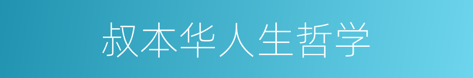 叔本华人生哲学的同义词