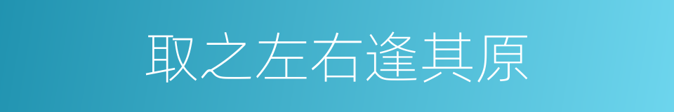 取之左右逢其原的同义词