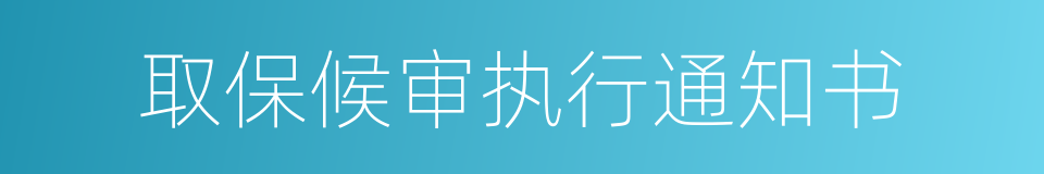 取保候审执行通知书的同义词