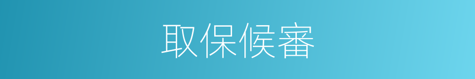 取保候審的意思