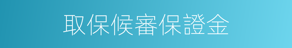 取保候審保證金的同義詞
