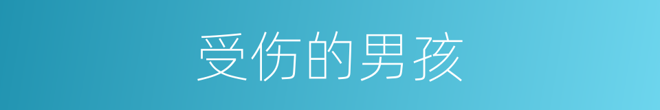受伤的男孩的同义词