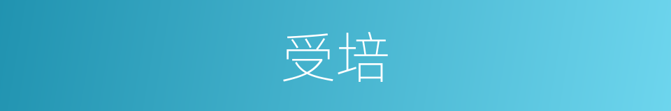 受培的同义词